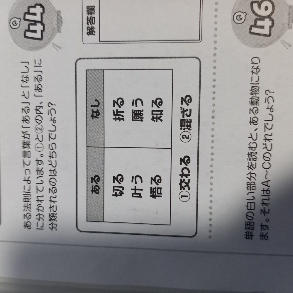 この写真の問題わかる方いらっしゃいますか？