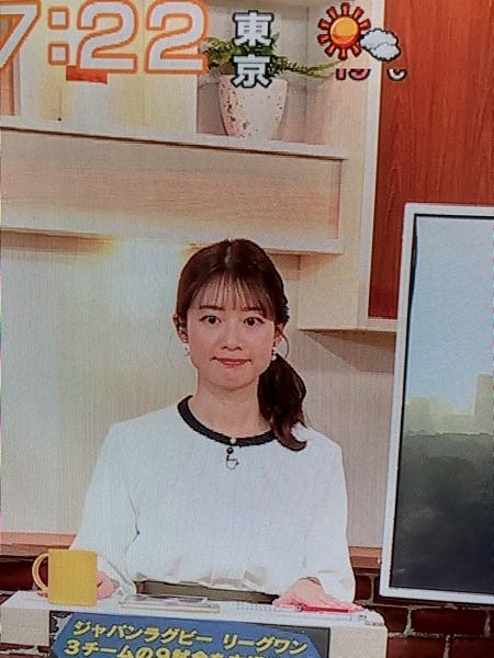 私の家では地デジをケーブルテレビで視聴していめすが？9チャンネルをたまたまつけた時、テレビ画面を撮った写真の女子アナらしき可愛い人が喋ってました この方のお名前をご存知の方、名前を教えてください 尚、テレビも一応液晶テレビなんですが番組表とデータが出ない物ですので宜しくお願いします