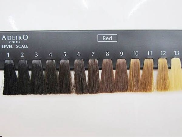 画像にあるもので、赤みがかった8か9トーン辺り？(スマホのライトをあてて見て)なのですが、ワンカラーでグレージュは可能ですか？(ブリーチ、黒染め、経験なし) 普段からダブルカラーでグレージュ「暗...