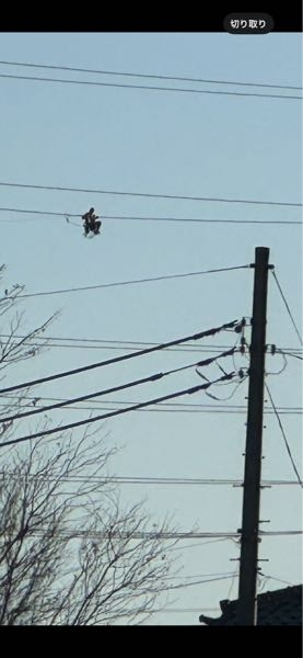 電線近くに何か飛んでいると思って、望遠で撮ったら、人のような影がゆっくり電線伝いに動いています。 これは何をしているのでしょうか。