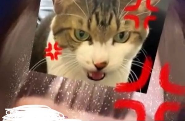 至急 このインスタのエフェクト教えてください