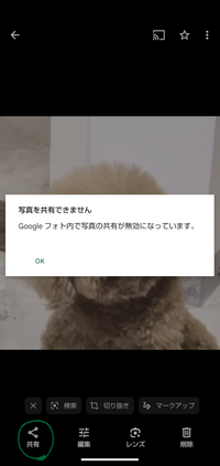 Googleフォトで共有をしようとすると
Googleフォト内での共有は無効です
と出てきます。
どうしたら共有ができるようになりますか？ 