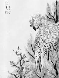 鳥山石燕の天狗についての質問です。 彼の描いた天狗は一般的な天狗とは違い、鷹または鷲のような動物で描かれていますが、これは何故ですか？ 知っている方や考察などがありましたら是非教えてください。