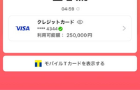 これは利用できますか？

ウルトラペイアプリ内のカードを
PayPay支払い元に設定し
支払い画面で支払い元をウルトラペイに
したら利用可能額が表示されました。 