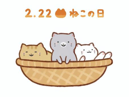 □２月22日 猫の日□ ２月22日 猫の日ということですが。 お宅のネコさんには、何かおもてなしなど。 予定はありますか？ (=^・・^=)