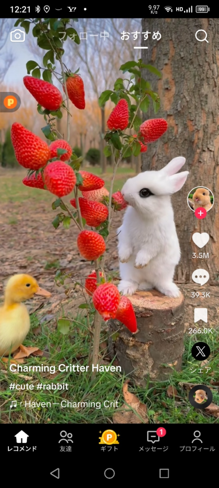 添付した画像の、うさぎが食べている苺に似た果実の名称を教えて下さい。