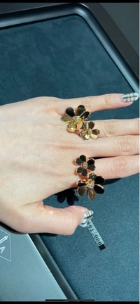 ヴァンクリについて質問です。フリヴォルのミニピアス(ホワイト