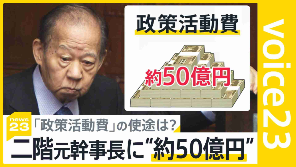 記者「50億？ウヤムヤにするおつもりですか！」 二階氏「ばか野郎！」(と言いながら立ち去る) ですか…