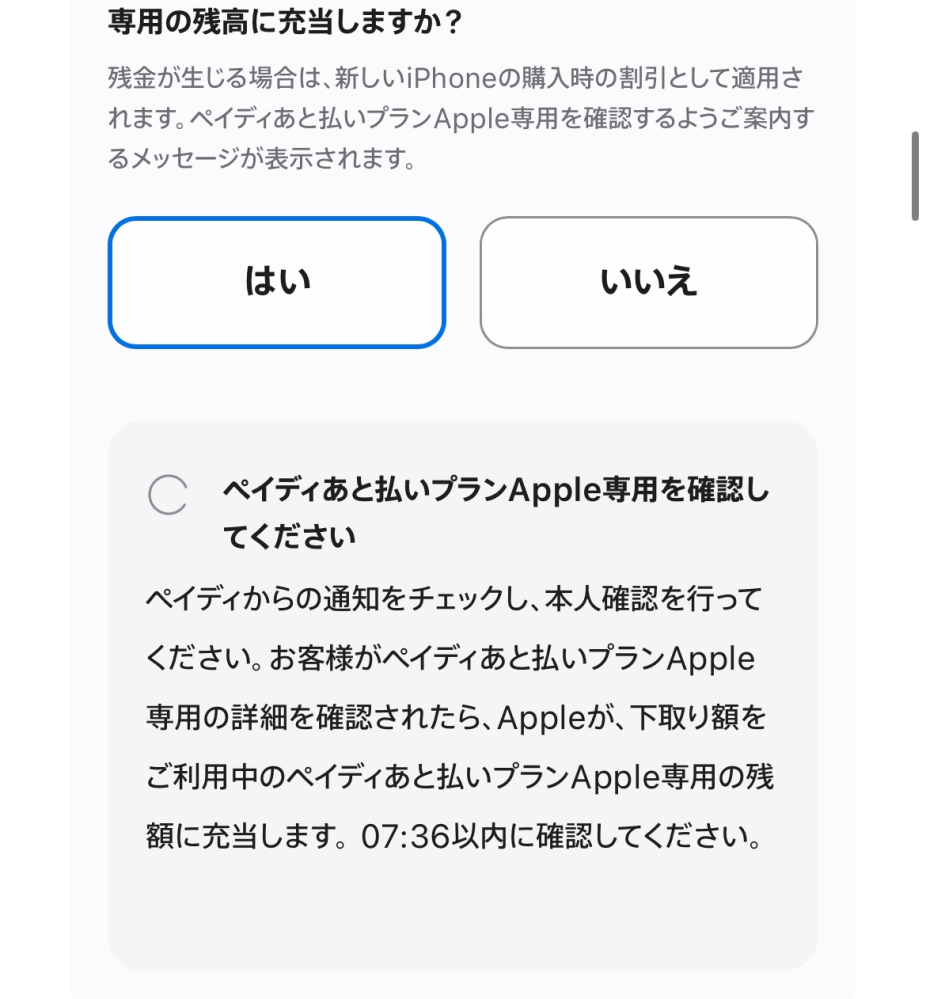 ペイディというアプリで後払いプランApple専用というのでiPhoneを