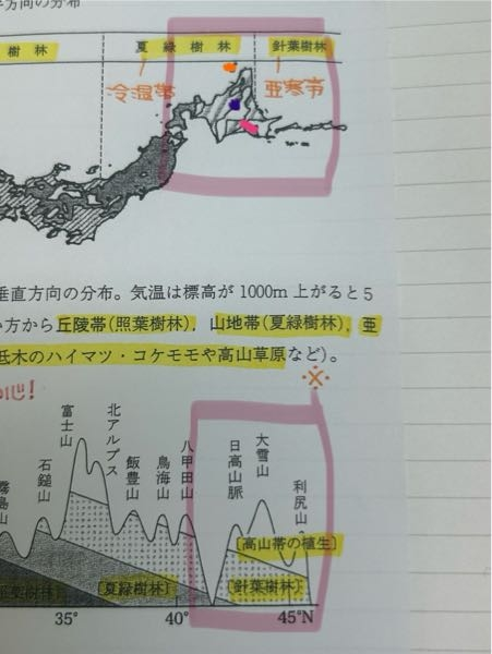 生物基礎 高校生物 高校地理 地学基礎 このグラフの見方について教えてください(;ᴗ;) ピンクのマーカーで囲ってある部分か北海道の分布表だと思うのですが、上と下あっていなくないですか？？ 例えば上のグラフの大雪山は上の日本地図の紫の場所に位置していて夏緑樹林の区分に入りますが、下のグラフでは、0mでも針葉樹林という扱いですよね、？ 同じく利尻山もそうなりませんか、？ 私の見方が違うのでしょうか？ それともこういうのは誤差として認識するのでしょうか？ よろしくお願いします。