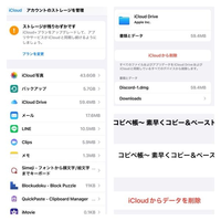 iCloudのデータ削除について教えて下さい
iCloudのストレージがいっぱいです、といつも表示が出るので50GBまでグレードアップしたのですが足りなくて ストレージの容量を少しでも空けるために削除できそうなのは削除してるのですが、「iCloudから削除」と「iCloudからデータを削除」と2つあるけど、どう違いますか？

またiCloudに保存されている下の写真の項目で写真、バックアップ...