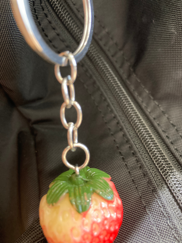 今日スクバにつけてたキーホルダーが無くなっているのに気づきま