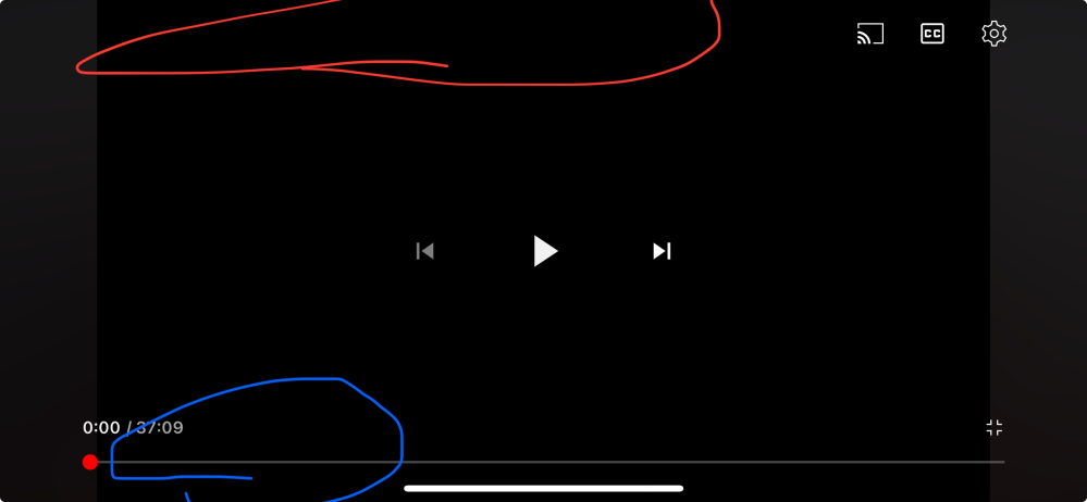 YouTubeのことについてなのですが 動画の上あたりにタイトルが出て、左下あたりに高評価とかを押せる場所があると思うのですが、なんか突然それが消えたのですが何かのバグでしょうか？（画像を見てもらうと赤のあたりにタイトルがあって、青のあたりに高評価とか押せるところがあるはずやけどない）