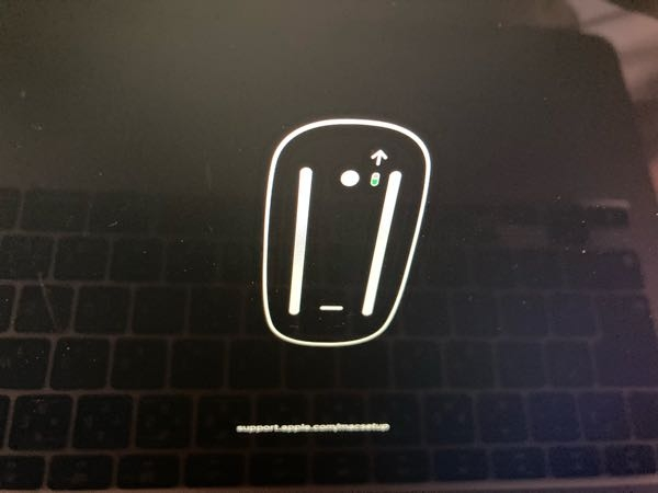 iMacを起動時に、マウスとキーボードの絵が交互に表示されてると