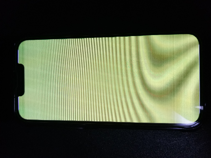 ルート・フリットの所属クラブと代表での付けた事のある背番号を知り