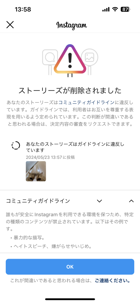 インスタのストーリーに猫の写真をただ載せただけなんですけどガイド 