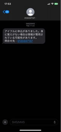 激安商品 至急です。このようなSMSメールが届きました。この後に認証 アンクレット