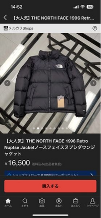 THE NORTH FACE - 左と右 ノースフェイスのパーカーについて。左ファスナーっていうのは