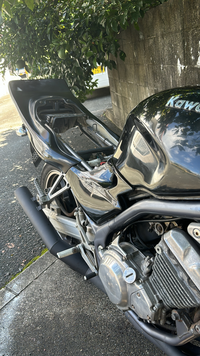 バリオスの羽根テールについてですハネテールはパーツ バリオスの羽根テールについてですハネテールはパーツ