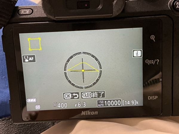 NikonZ50のシャッター回数を増やさない方法について。遅れ馳せながら