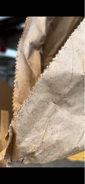 玄米が30キロ入った紙の米袋に虫がいっぱいわいてしまいました。中 