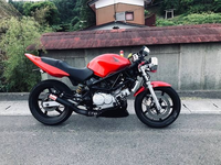 Vtr250に乗ろうと思っています。でもどうしてもテールカウルが Vtr250に乗ろうと思っています。でもどうしてもテールカウルが