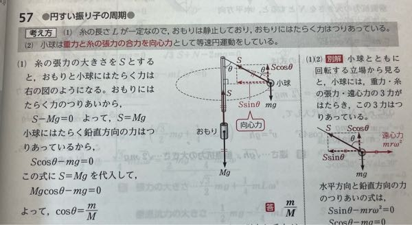 なぜ張力「S」は、「mg」であり、「Mg」でもあるのですか？質量が違うのに張力が同じになる理由がわかんないです。愚問だと思いますが教えていただきたいです。 (1番はcosθを求める問題です。)