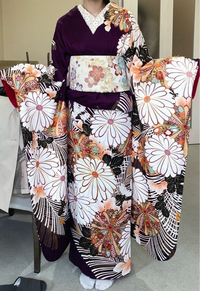 こんにちは。着物に詳しい方や相談に乗ってくれる方いたら是非お願いし  