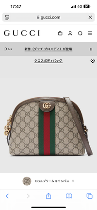 GUCCIのオフディアのバッグは今使うにしては古いでしょうか？この 