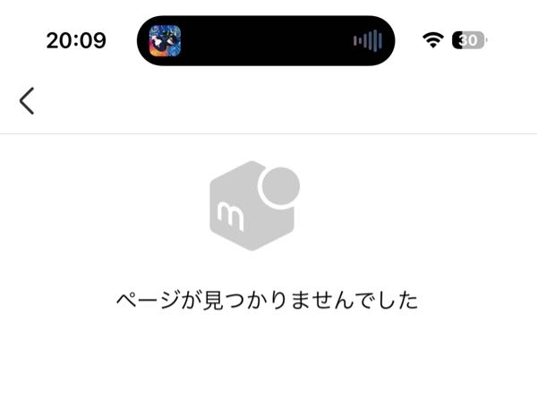 メルカリで専用ページを作ってもらったのですが、その専用ページがど