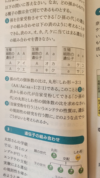 ②の解き方を教えてください 
 





 自家受粉 