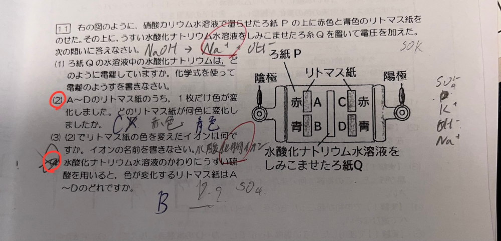 中3理科 アルカリ性、酸性について質問です。 ⑵と⑷はどのように考えれば良いですか？ 明日期末テストです。できれば至急お願いします