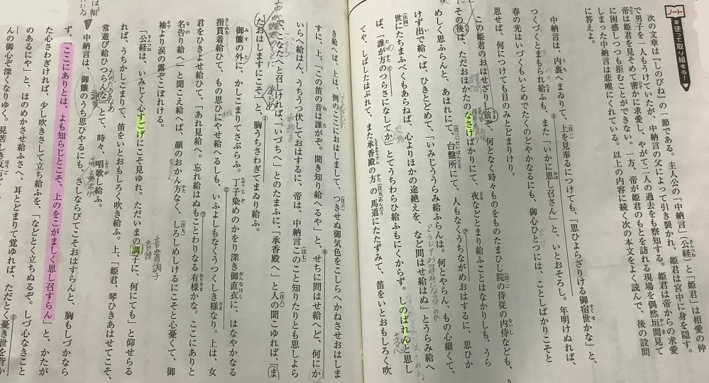 この文章は「しのびね」の一節であるようなのですが 下線部のピンクの蛍光部分がどういうことを言っているのか分かりません。人など補って分かりやすく解説してくださる方いませんか(T＿T) 周り汚くて読みにくくすみません。