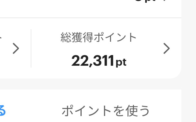 ペイペイのこのポイントは使えますか？ 使えるなら使い方も教えてください。