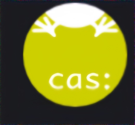 ツイキャスの配信を見てると下記の画像 「cas:」とアイコンに書いてあるアイコンの人が大量に居ます！これはなんのアイコンですか？