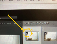 Lightroom Classicについて質問です。
この矢印は何でしょうか？
調べても調べても出てこず…
Lightroom Classicの取扱説明書が欲しいです… 