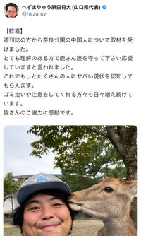 へずまりゅうがボランティアをしている奈良公園の鹿を観光客の暴力から守るという活動を応援しているのですが、 へずまりゅうが観光客に対して怒鳴ったり凄く攻撃的なので日本への観光客が減ってしまわないか心配です。台湾ではニュースにもなったらしいです。皆さんはへずまりゅうの活動についてどう思いますか？