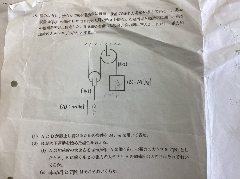 物理基礎の運動方程式を使った滑車の問題なのですが滑車が苦手でどうしてもわからなくて解けません誰か解説をお願いします！ 以下 問題 図のように、滑らかで軽い動滑車に質量m［kg］の物体Aを軽い糸で吊るしある質量M［kg］の物体Bに取り付けた軽い糸2を滑らかな定滑車と動滑車に通し、糸2の他端を天井に固定した。Bを静かに離した場合、次の問いに答えよ。ただし、重力加速度の大きさをg［m/s^2］とする。 （1）AとBが静止し続けるための条件をM,mを用いて表せ （2）Bが落下運動を始めた場合を考える。 （i）Aの加速度の大きさをa［m/s^2］、Aに働く糸1の張力の大きさをT［N］と した時、Bに働く糸2の張力の大きさとBの加速度の大きさはそれぞれいくらか。 （ii）a［m/s^2］とT［N］はそれぞれいくらか。