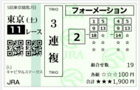 東京11レースの添付馬券をどう思いますか？^^ 