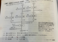 生物、生態系
写真の問題(2)②について質問です解説には動物の純生産量は同化量から呼吸量をひいたものと書いてあるのに250-120-96=34
となっていました なぜ死滅量が引かれてるのでしょうか？