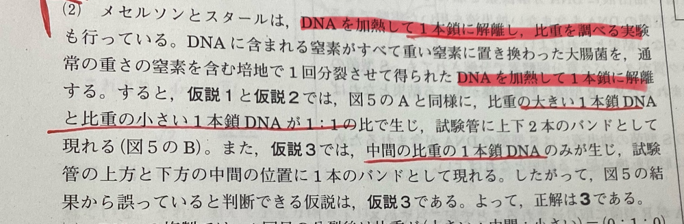 生物基礎です DNAを解離して1本鎖にするとはどういうことでしょうか？