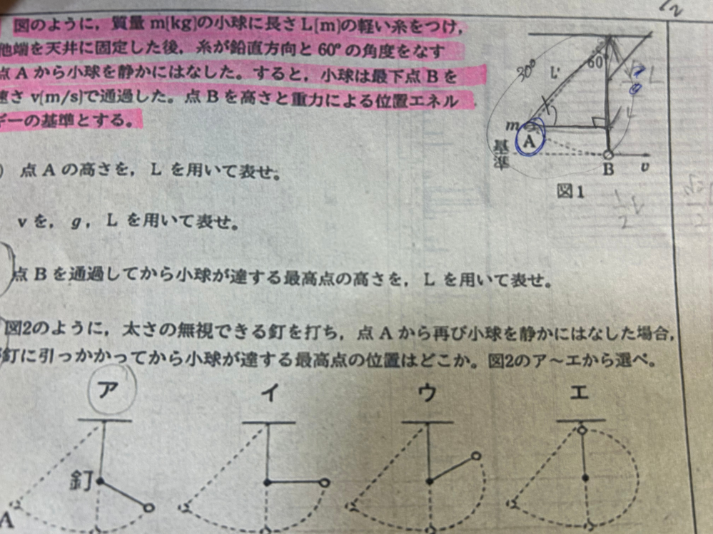 大至急！！！物理の問題です。 なぜAの高さは1/2lとなるのでしょうか？（т-т） 今日テストなのでできるだけ解けるようになりたいです。