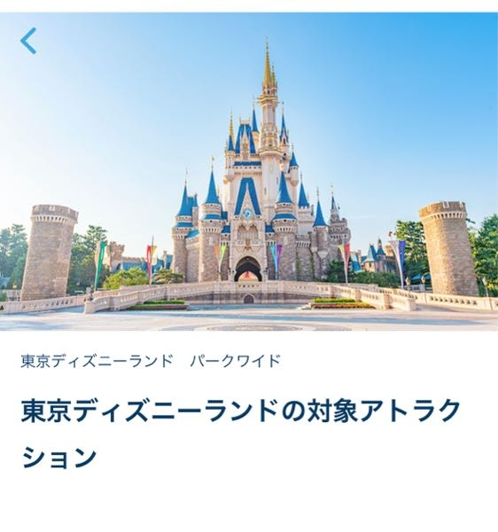 ディズニーのバケーションパッケージに 「東京ディズニーランドの対象アトラクション」 という欄があり、そこには 「ビッグサンダー・マウンテン」 「プーさんのハニーハント」 「ホーンテッドマンション」 「スター・ツアーズ：ザ・アドベンチャーズ・コンティニュー」 「モンスターズ・インクライド&ゴーシーク！」 の5つがあったのですが、この東京ディズニーランドの対象アトラクションを選んだ場合はこの5つのアトラクションは乗り放題ということですか？ まだ何もわからず何を選んでいいかわかりません 詳しい方がいたら教えてください。