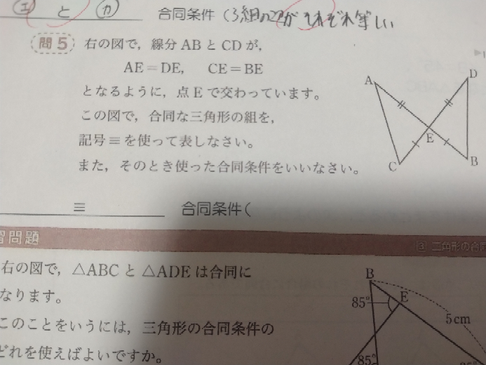 中2数学です。 問5のところをお願いしますm(_ _)m