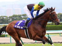 ダービー馬マカヒキ
みたいな馬名ありましたね？ 