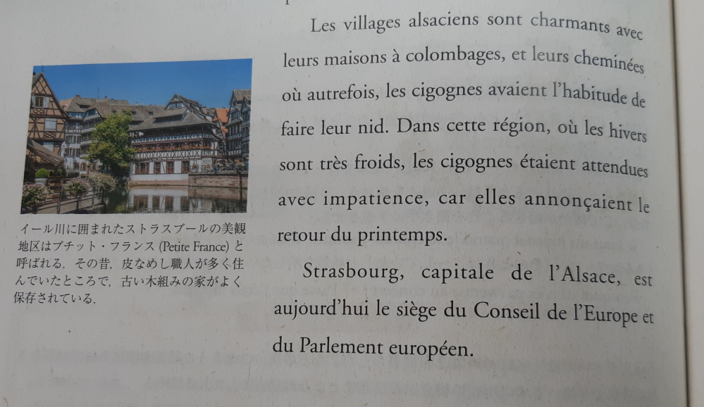 これはフランス語の文なのですがどなたか和訳してください、