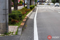 今度自転車乗るんですけどこの写真の場合自転車はどこに走るべきですか？歩道か路側帯、車道 