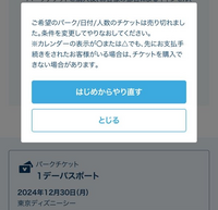 ディズニー好きの方教えてください。これはもうチケット売り切れとい 