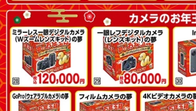 ヨドバシカメラ夢のお年玉箱2025 一眼レフデジタルカメラ（レンズキット）の夢80,000円はどこのメーカー、型番が入ってると思いますか？ よろしくお願い致します。