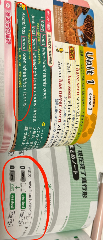 中学英語について質問です。 現在完了形の否定文の文法がワークによって違うんですけど入試に出た場合はどっちを使うべきですか？ ワークは左が学校で配られたスヌーピーの「ニューエンジョイワーク」で、右は個人で買った「自由自在」のワークです。